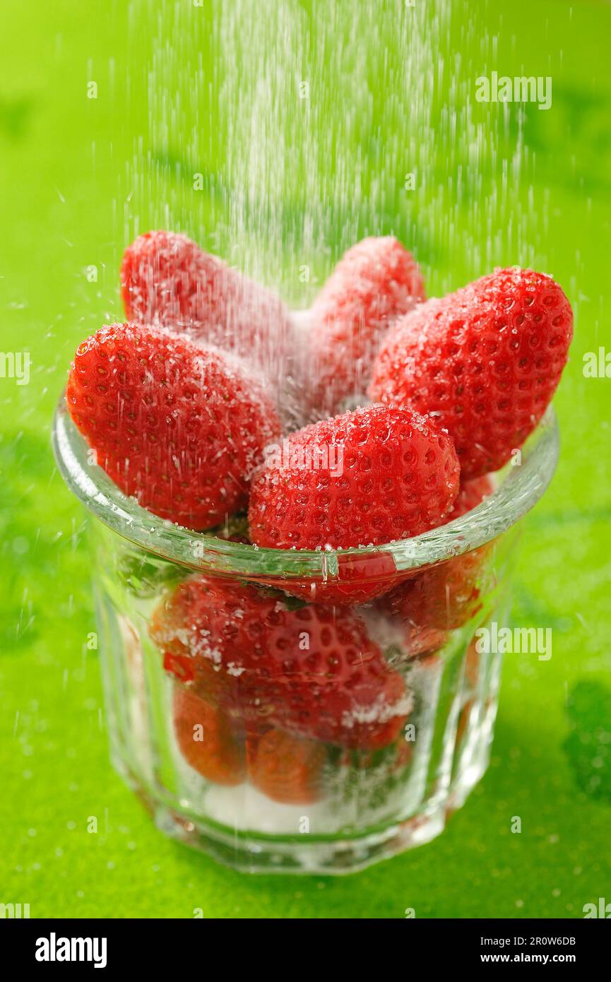 Powdering strawberries with sugar Stock Photo Alamy