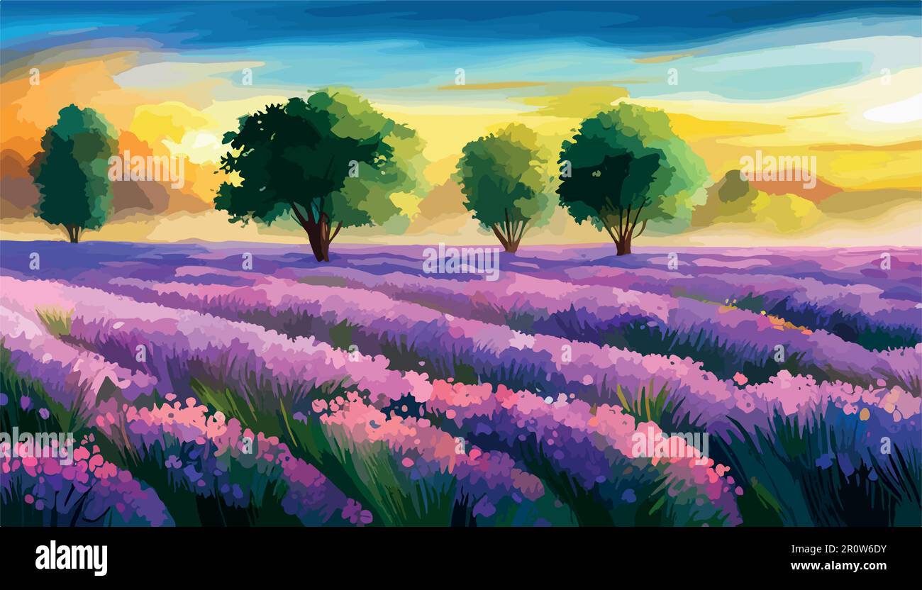 Lavender field sunset and lines. Beautiful lavender blooming scented ...