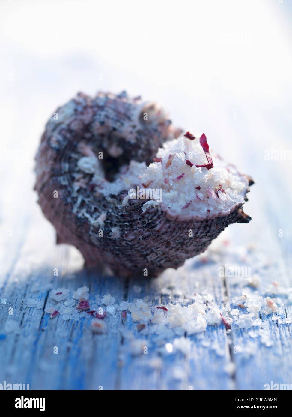 Fleur de sel sea salt in a shell Stock Photo - Alamy