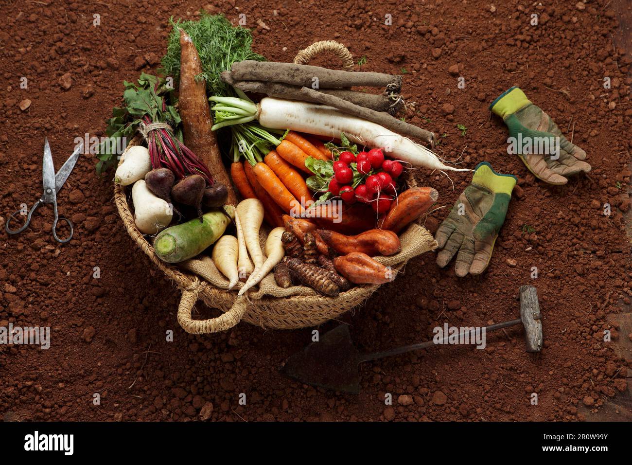 Composition with tubers turnips, sweet potatoes, carrots, parsnips