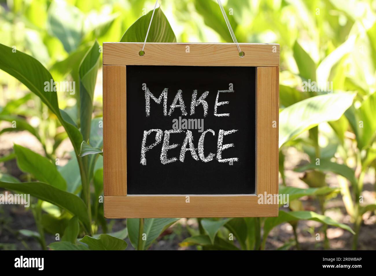 Chalkboard with phrase Make Peace in garden outdoors Stock Photo
