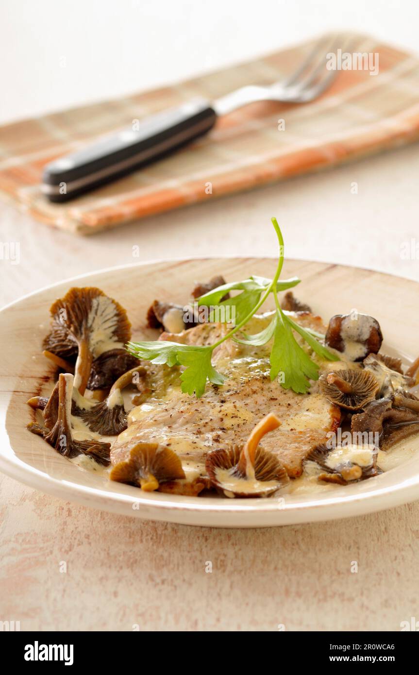 Veal escalope in creamy mushroom sauce Stock Photo Alamy