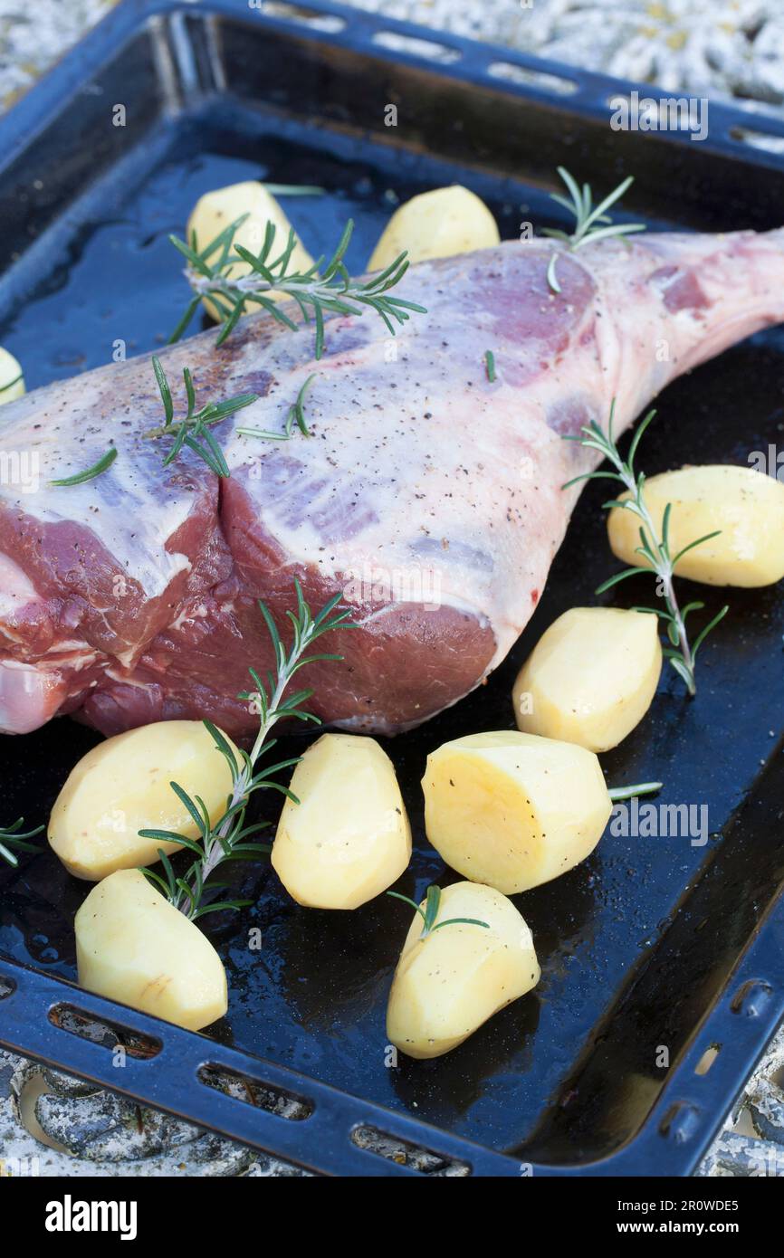 Leg of lamb with potatoes and rosemary before roasting Stock Photo Alamy