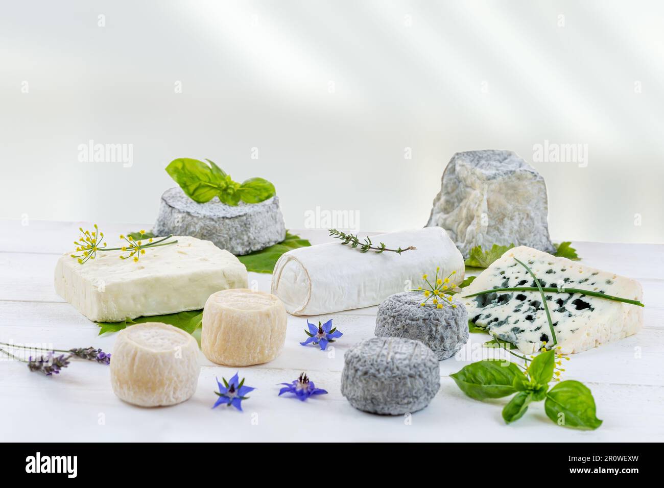 Assortment of goat's cheeses Stock Photo Alamy