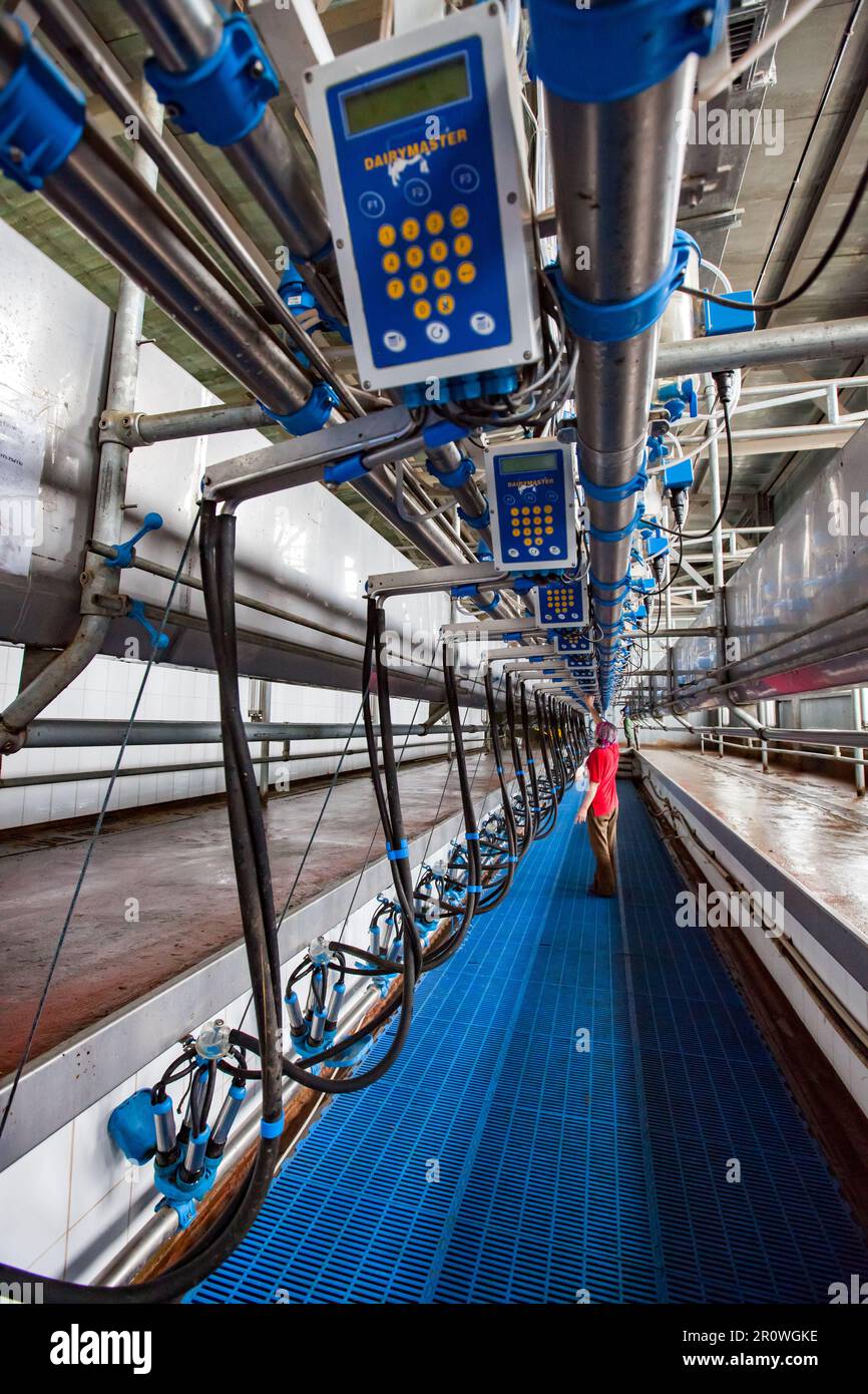 Kyzylorda province - May 02, 2012: Modern milking machine on farm Stock Photo