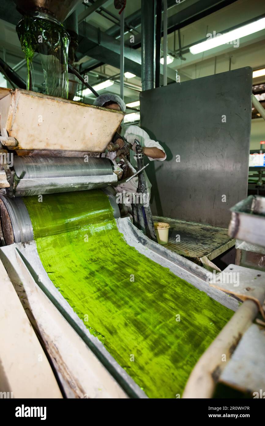 Caramel manufacturing machine on confectionery factory. Sweets