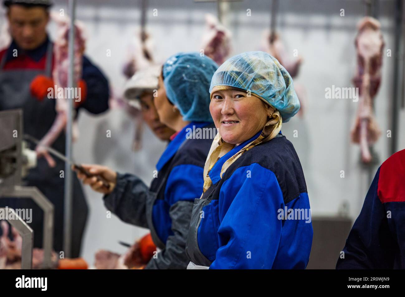 Shymkent, Kazakhstan - April 26, 2012:  Workers cutting turkey bodies on factory Stock Photo