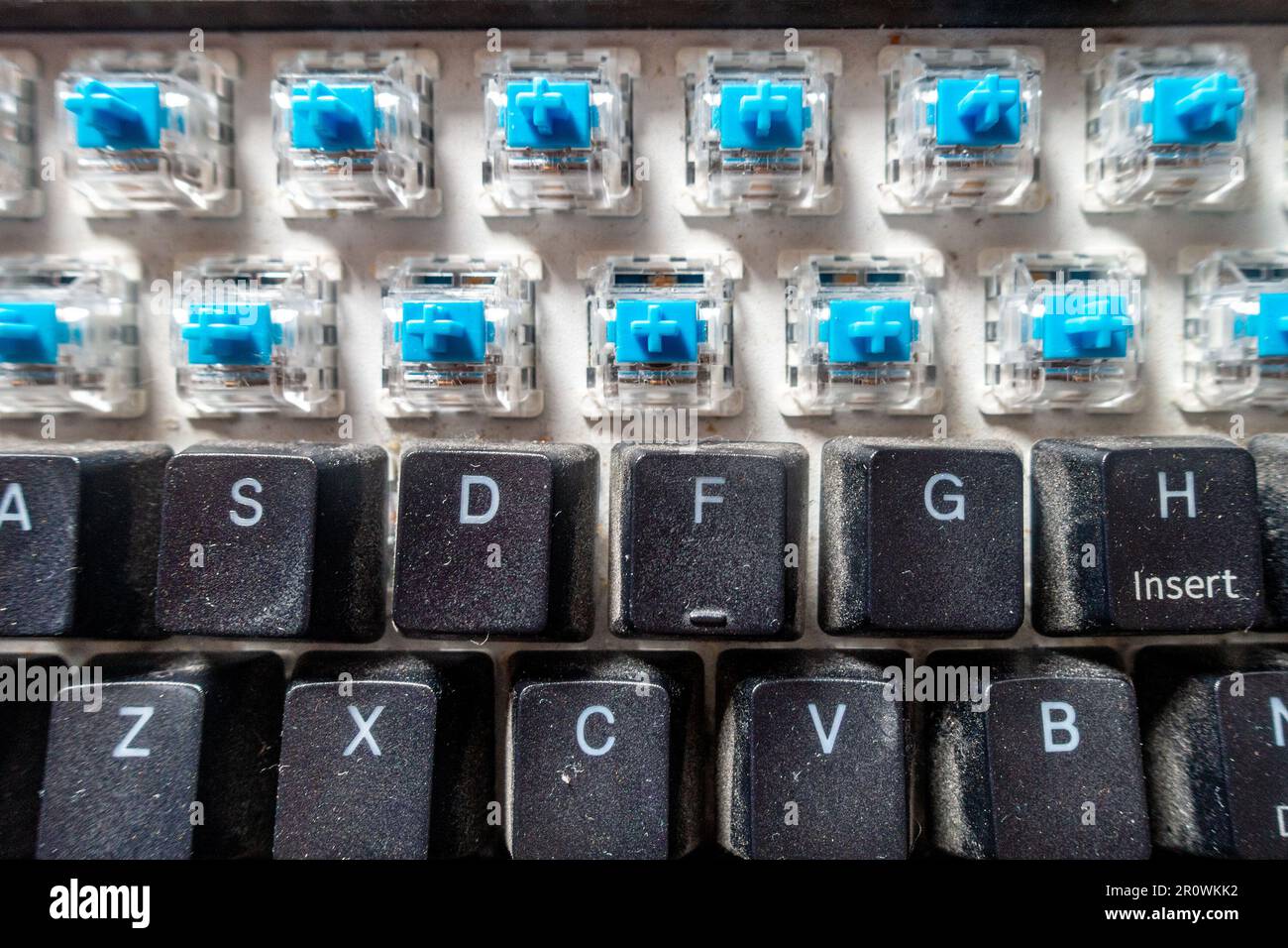 A dirty computer keyboard which has had two rows of key facias removed for cleaning revealing microswitches below Stock Photo