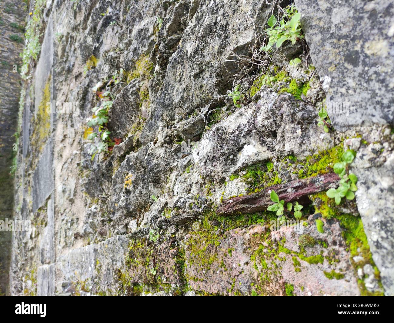 Walls of old celtic caves of a Blarney castle in Ireland, rocks and ...