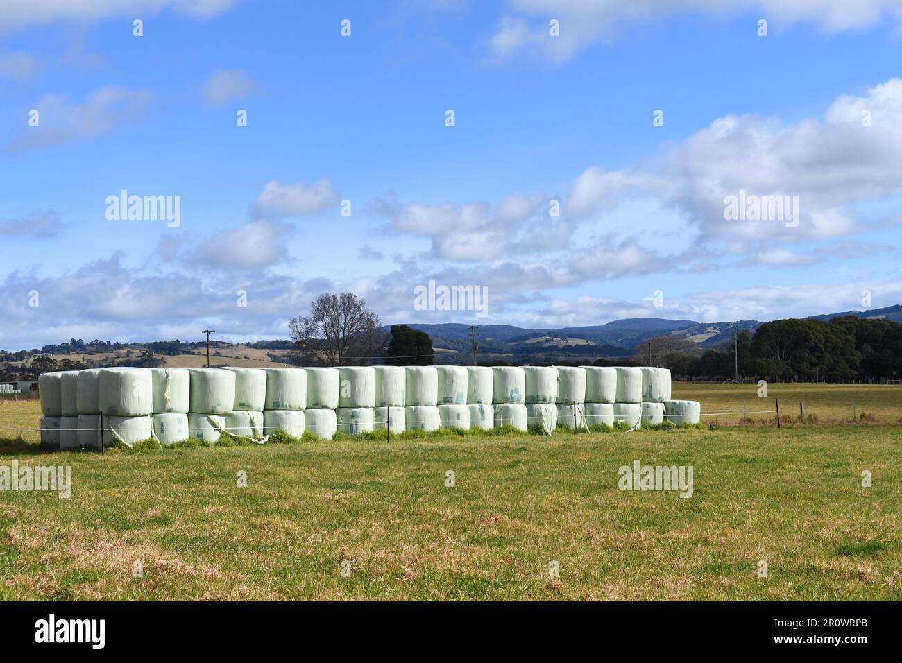 Hay roll in stack wrapped in polybag near Dorrigo, NSW, Australia: a typical rural Australian picture Stock Photo