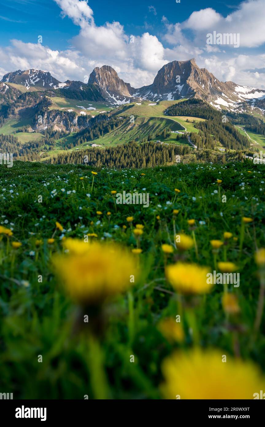 peak of Gantrisch ad Nüneneflue in spring Stock Photo