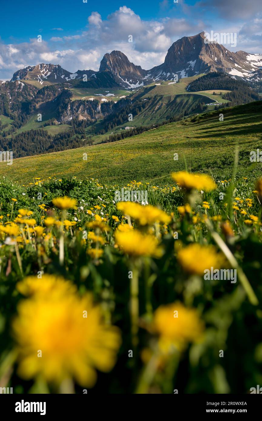 peak of Gantrisch ad Nüneneflue in spring Stock Photo