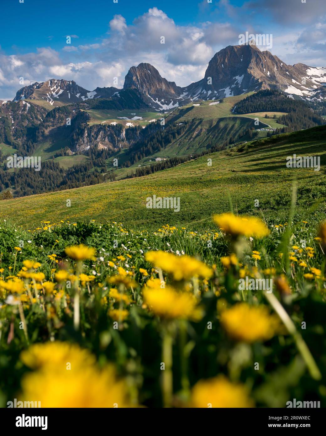 peak of Gantrisch ad Nüneneflue in spring Stock Photo