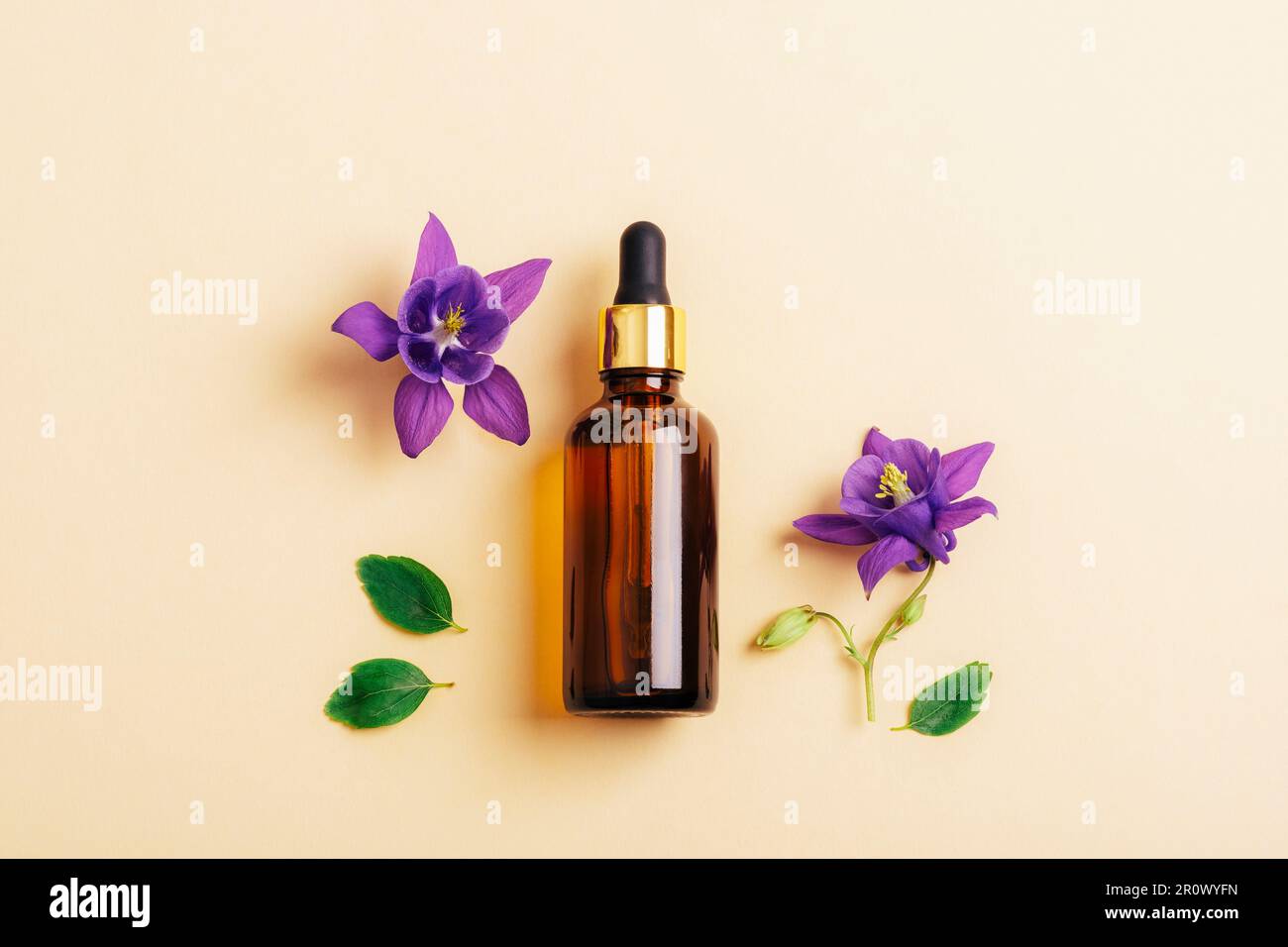 Brown cosmetic serum dropper bottle and beautiful purple Aquilegia Alpina flowers on neutral beige background. Top view, flat lay, copy space. Stock Photo