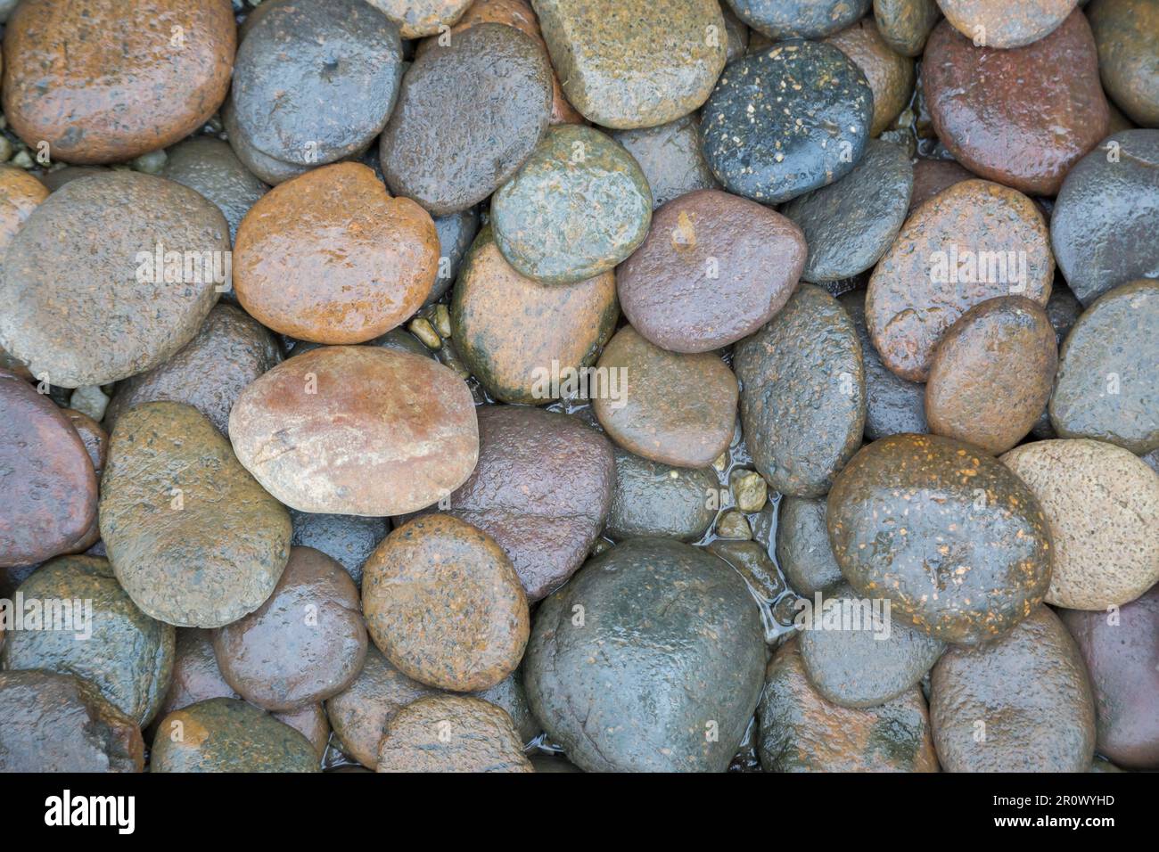 Small round rocks hi-res stock photography and images - Alamy