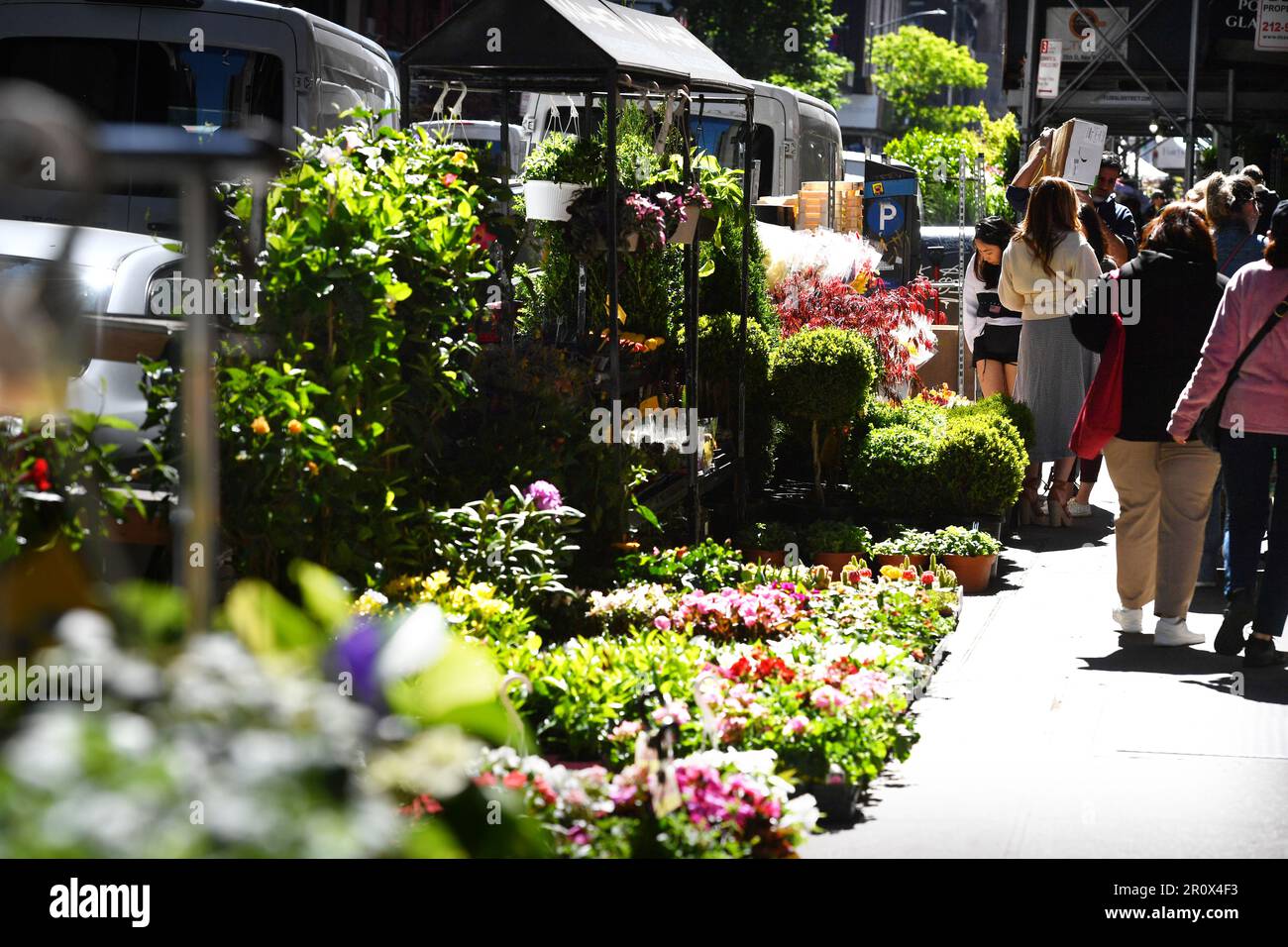Flowers seller in Chelsea district - Street Scene New York City - USA Stock Photo