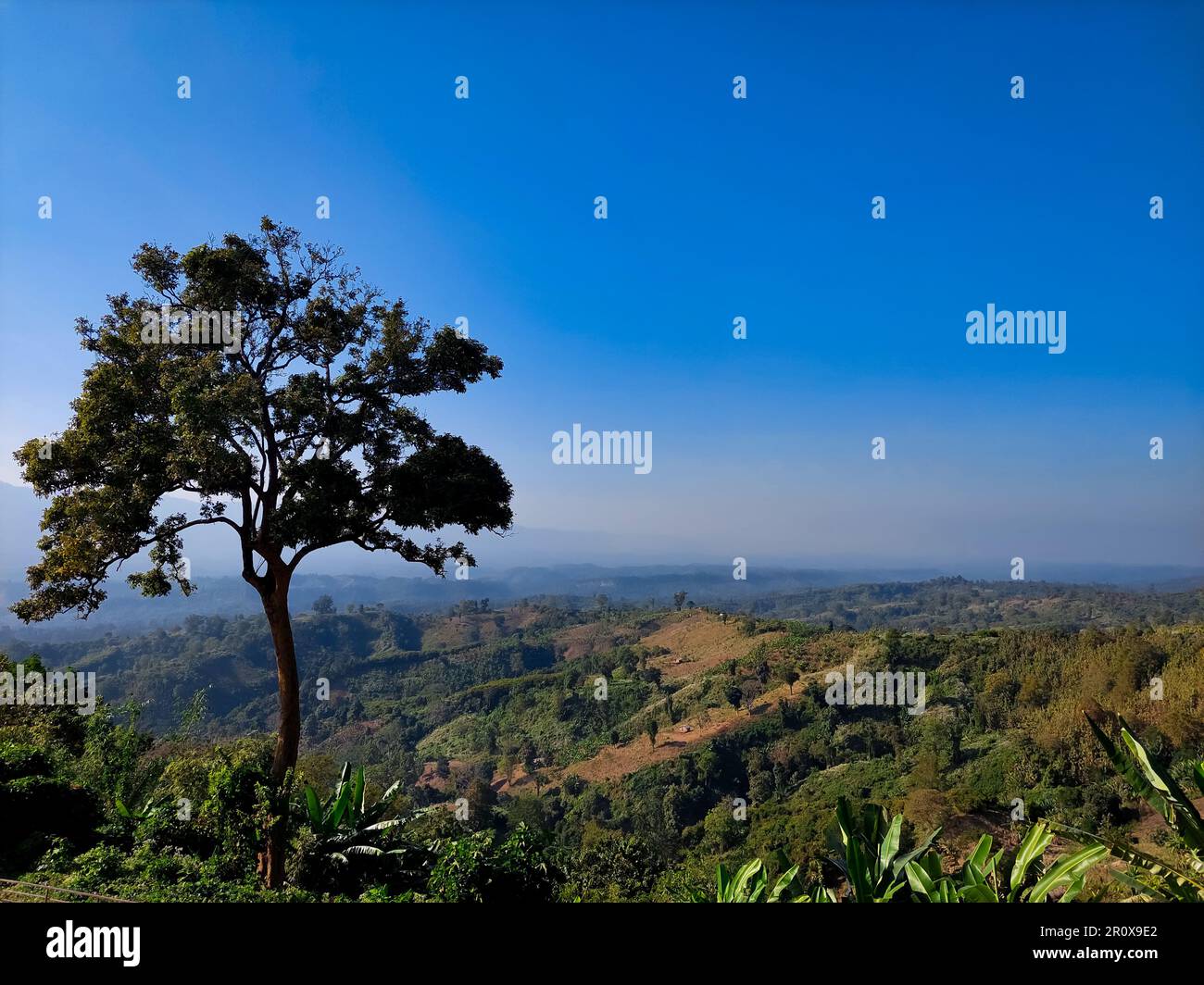 Hill view scenery of bandarban thanchi upazila Stock Photo