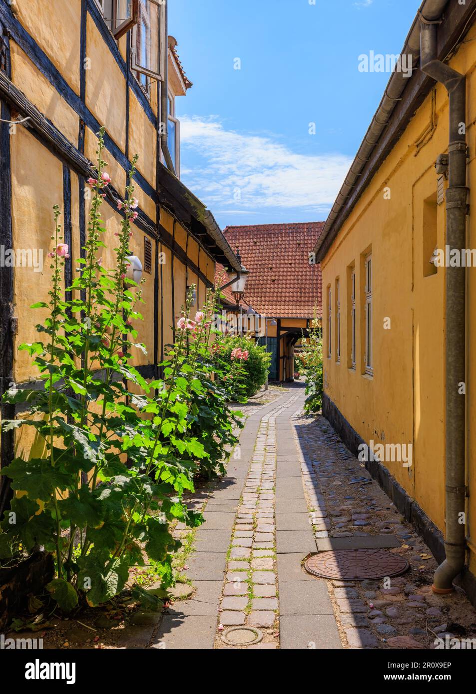 Narrow walkway between two hi-res stock photography and images - Alamy