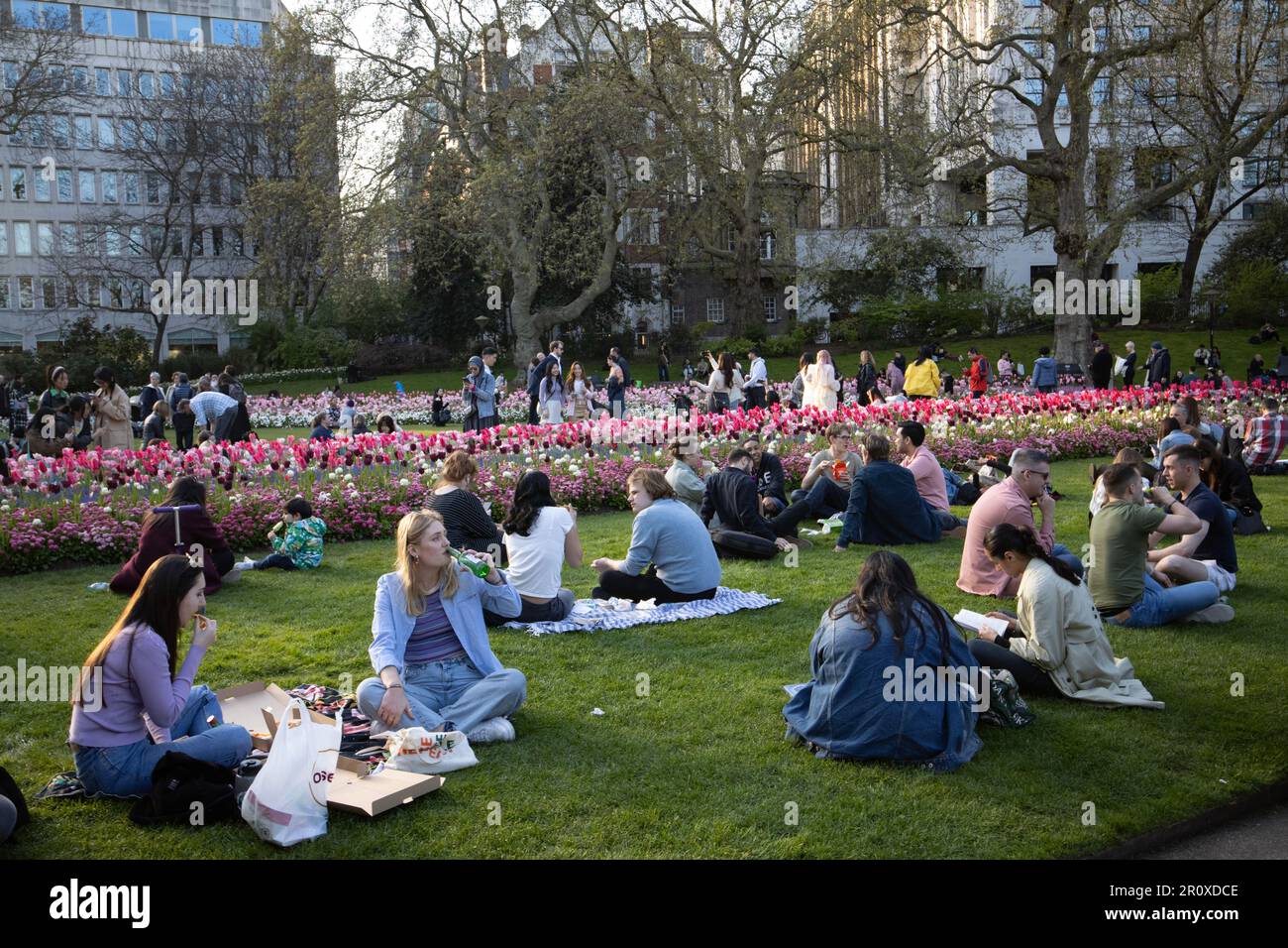 Tourists enjoying the Coronation flowers and evening sunshine at Victoria Embankment Gardens, central London, England, United Kingdom Stock Photo