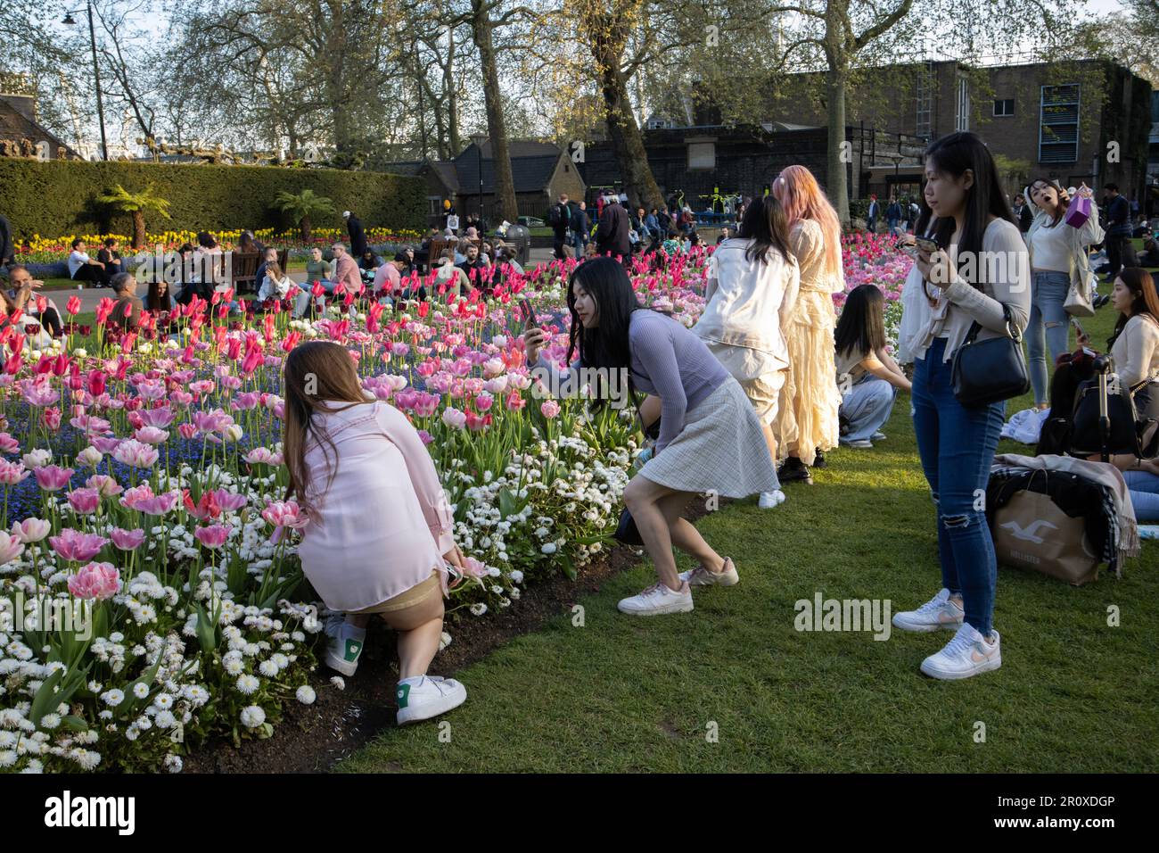 Tourists enjoying the Coronation flowers and evening sunshine at Victoria Embankment Gardens, central London, England, United Kingdom Stock Photo