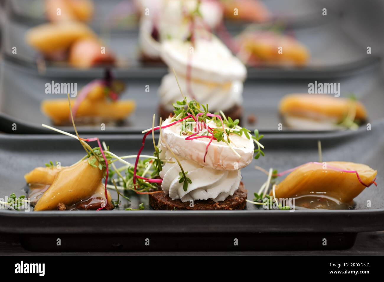 Appetizer dish from savory cream and goat cheese on pumpernickel bread with rhubarb pieces and sprout garnish served on black plates, selected focus, Stock Photo
