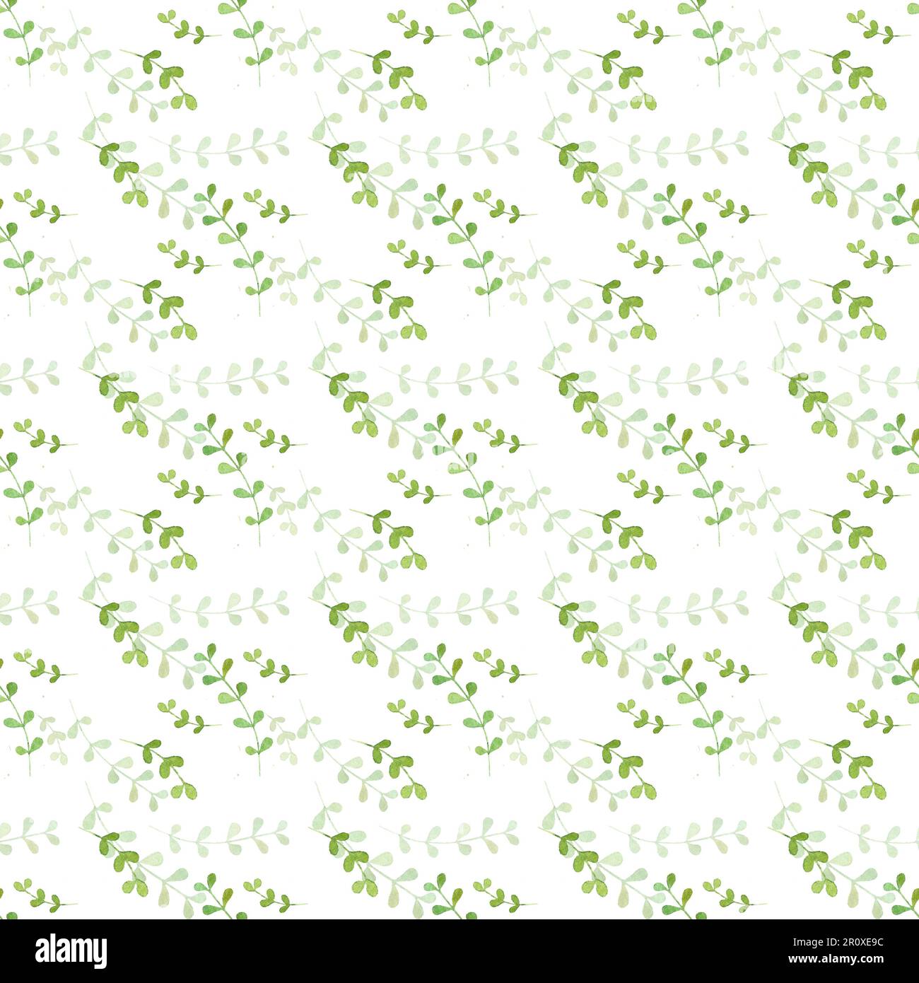 watercolor pattern with minimalistic twigs, leaves pattern, grass print, hand-drawn watercolor nature motifs Stock Photo