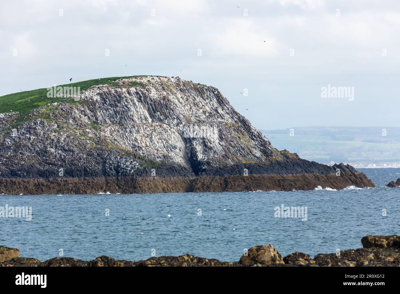 Lamb, sometimes called Lamb Island or The Lamb, is a small uninhabited island measuring approximately 100 by 50 metres near North Berwick Stock Photo