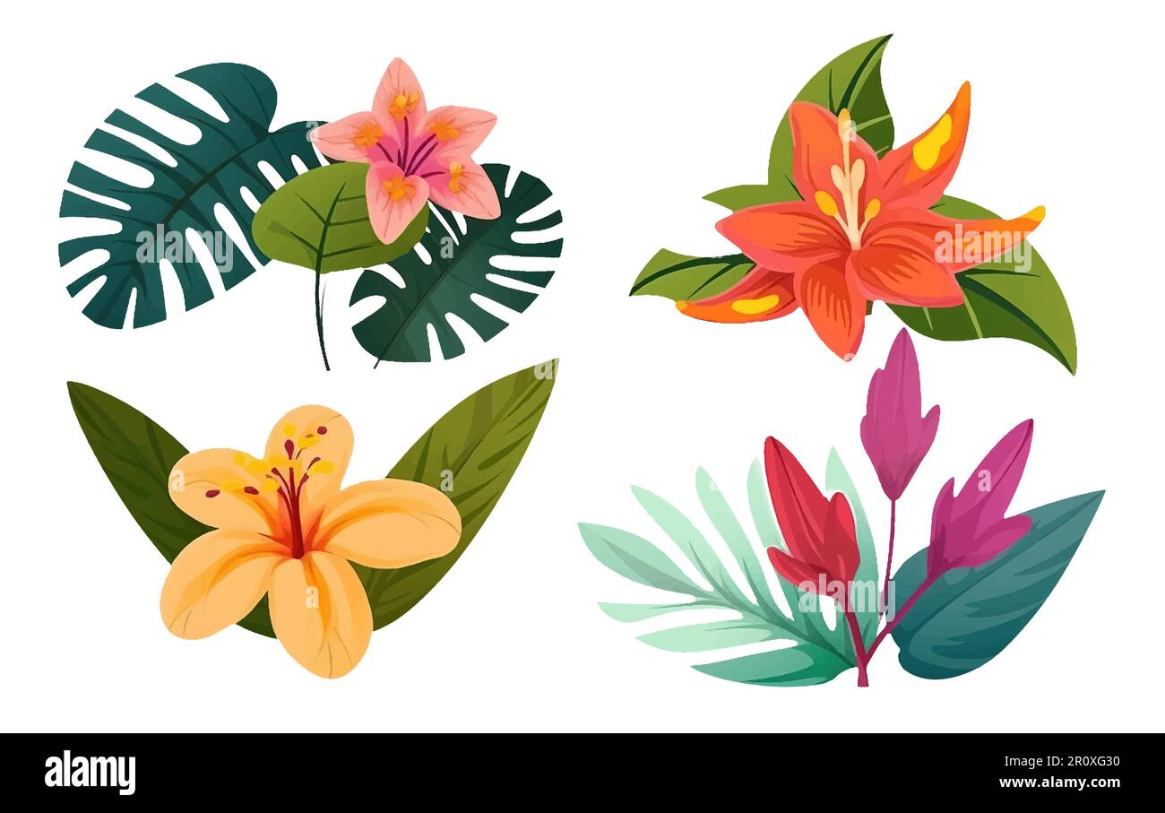 set vector illustraion of tropical leaves and flowers isolated on white ...