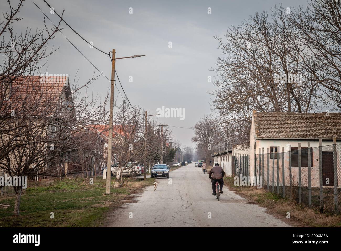 Picture of a old man using a bicycle next to a street in autumn in banatsko novo selo, a small typical serbian village in banat, Vojvodina. Stock Photo