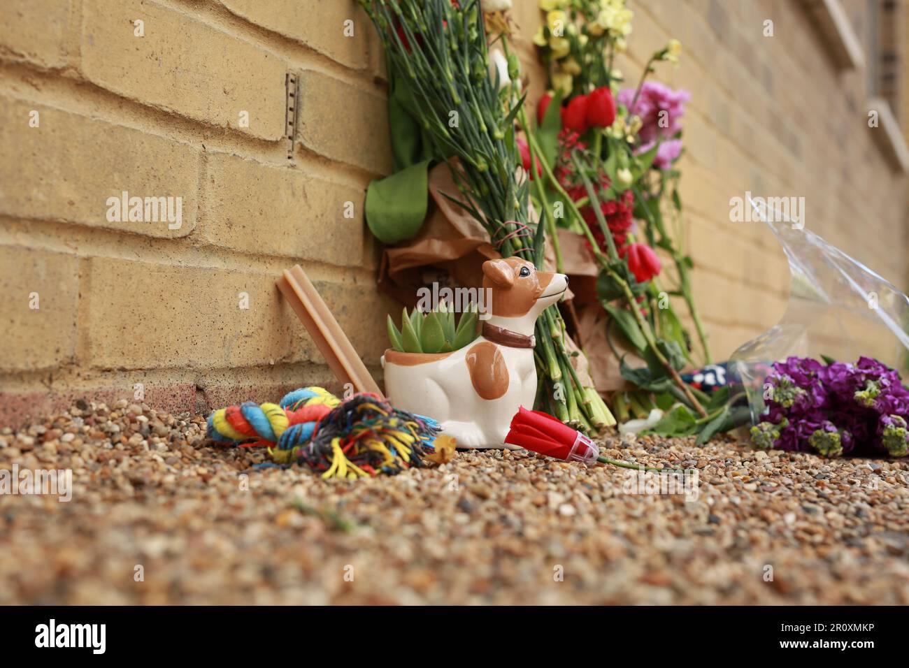 London, UK. 10 May 2023. Tribute to shot dogs. A makeshift memorial
