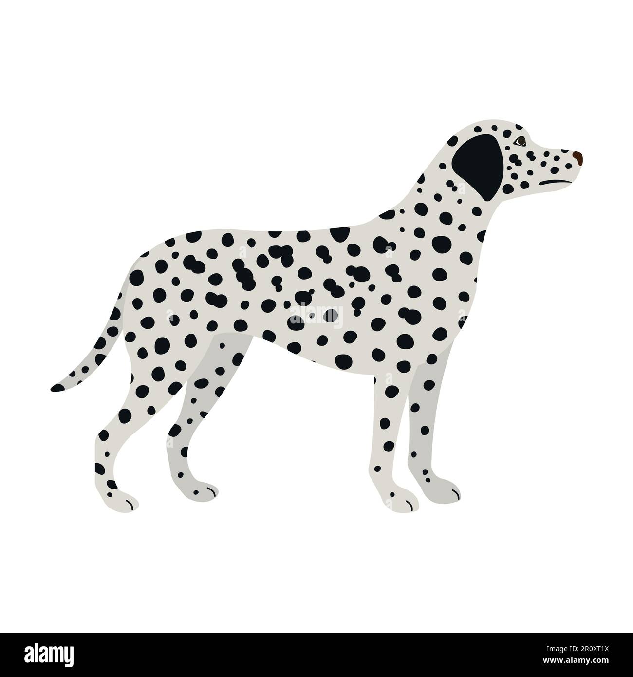 Vector flat hand drawn dalmatian dog isolated on white background Stock ...