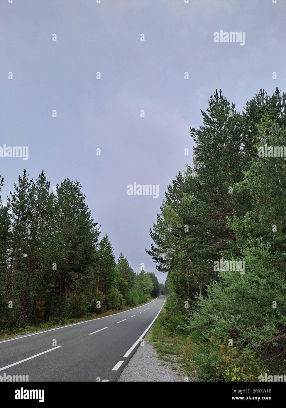 This image depicts a winding road surrounded by lush greenery ...