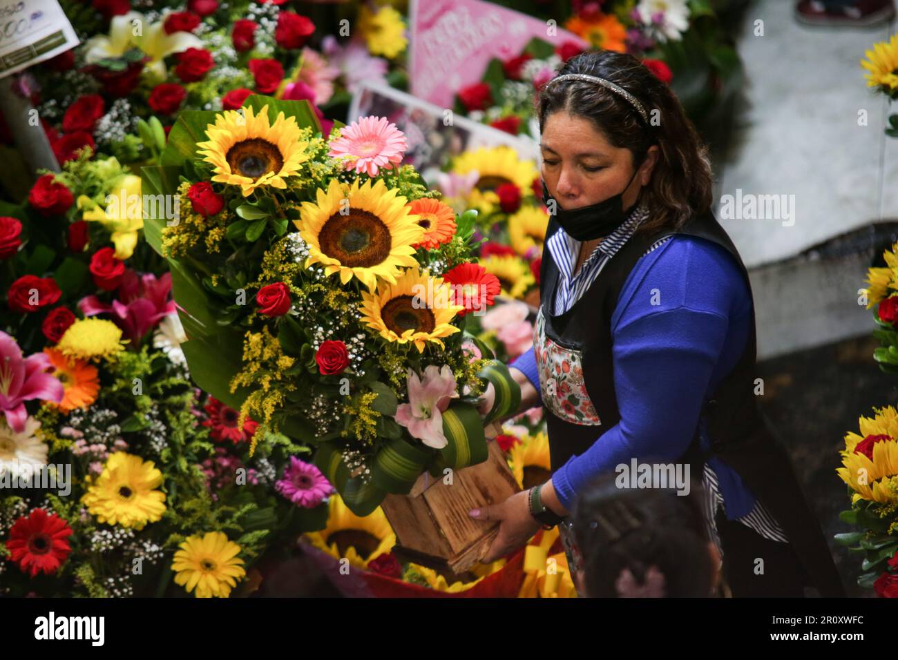 Mexico City, Mexico. 9th May, 2023. A flower seller shows flowers