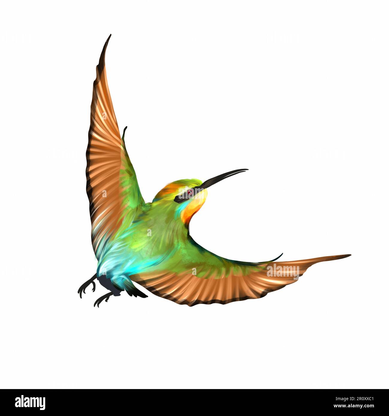 A bright flying bird isolated on a white background. Watercolor ...