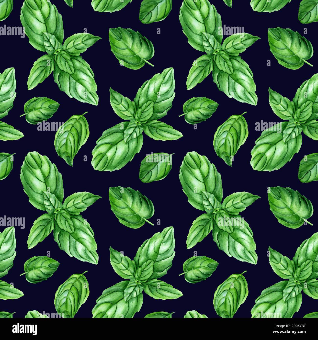 Watercolor seamless pattern with basil herb. Botanical illustration for wrapping, wallpaper, fabric Stock Photo