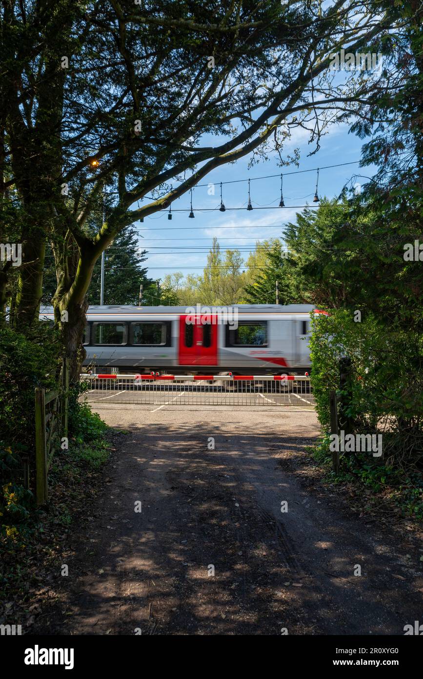 Rural railway level crossing framed by trees. Church Lane crossing in Margaretting, Essex, UK with Greater Anglia train passing. Crossing gates closed Stock Photo