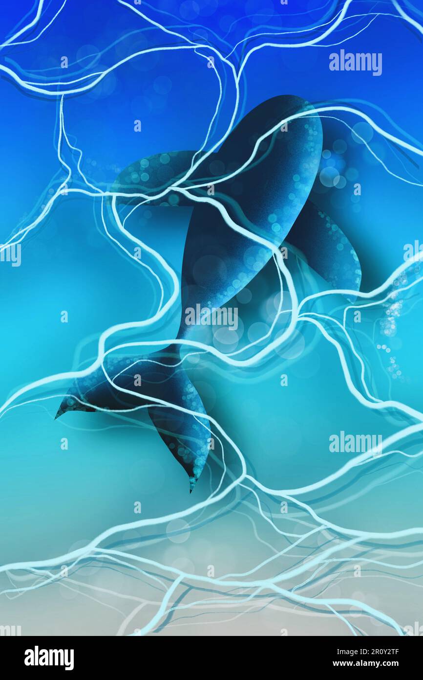 Illustration of a swimming whale in the ocean Stock Photo - Alamy