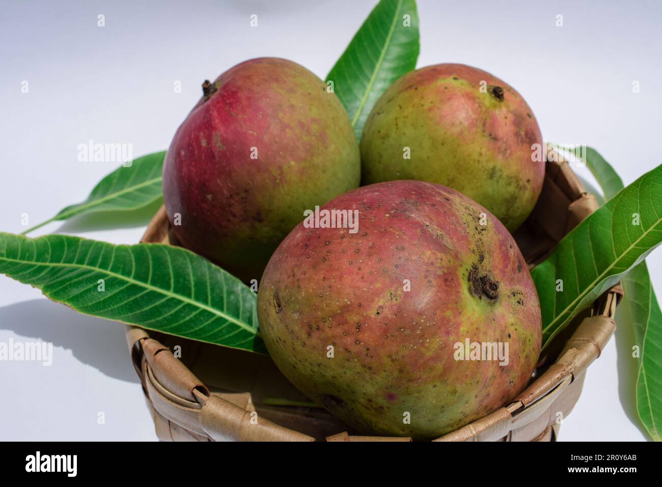 Delicious Mango fruits in basket. Colourful big mangoes Stock Photo Alamy
