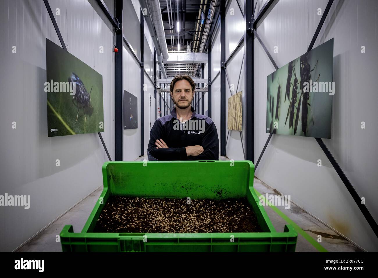BERGEN OP ZOOM Portrait of Kees Aarts (CEO and founder) of Protix, the largest insect farm in