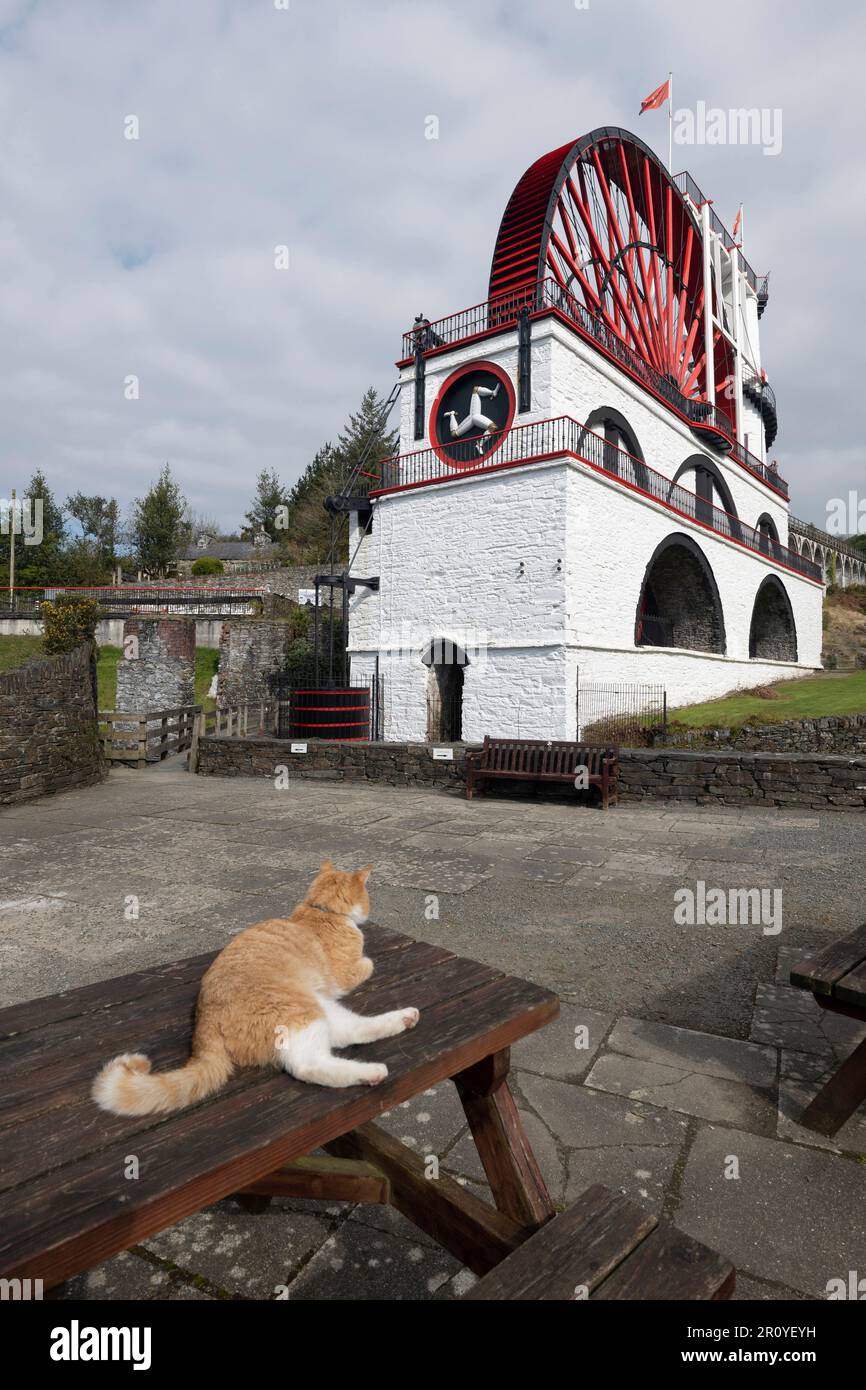 The Laxey Wheel was built in 1854 to pump water from the Glen Mooar Mine in Laxey on the Isle of Man. Also known as Lady Isabella Stock Photo