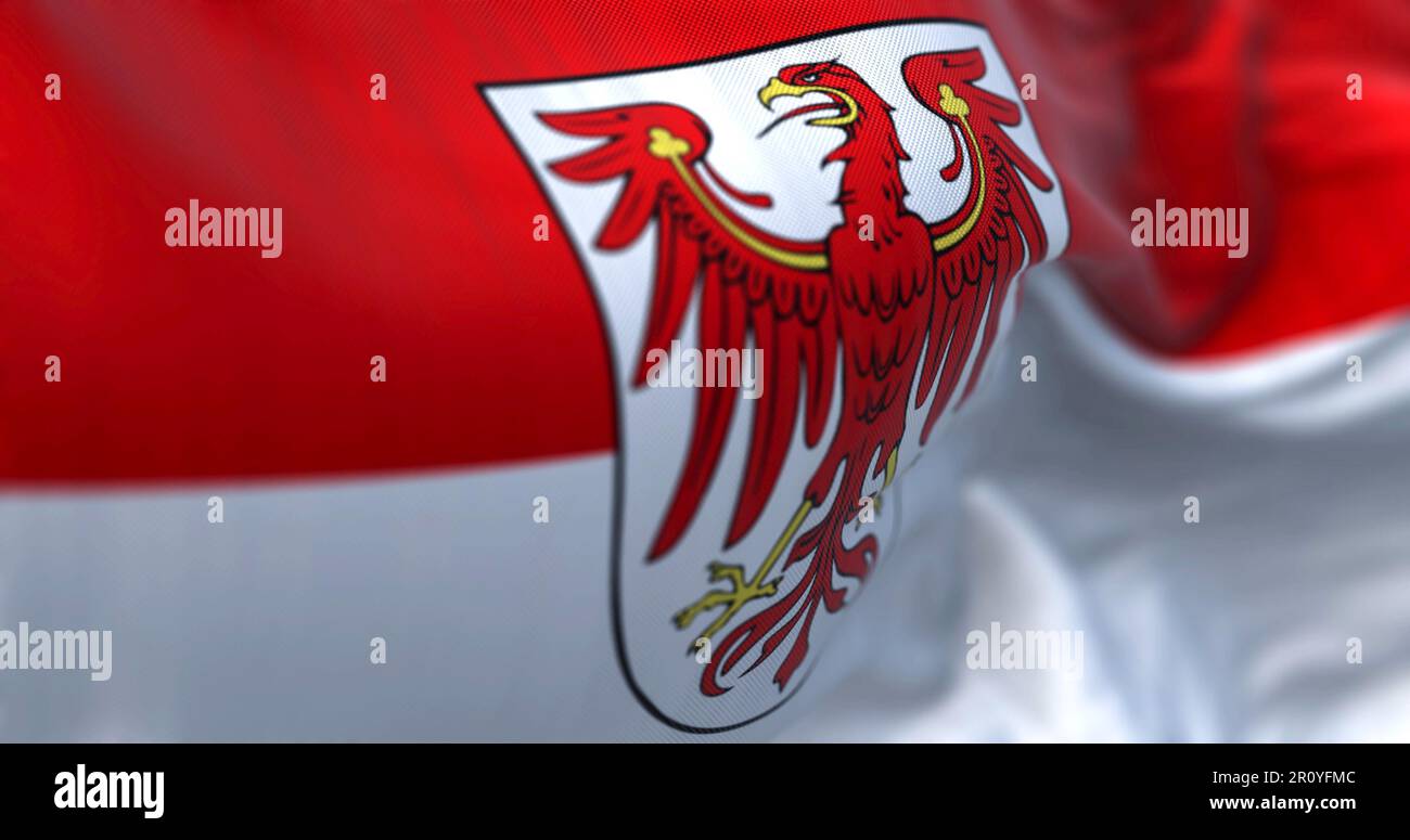 https://c8.alamy.com/comp/2R0YFMC/brandenburg-state-flag-waving-in-the-wind-red-over-white-flag-with-red-eagle-coat-of-arms-3d-illustration-render-selective-focus-fluttering-fabric-2R0YFMC.jpg