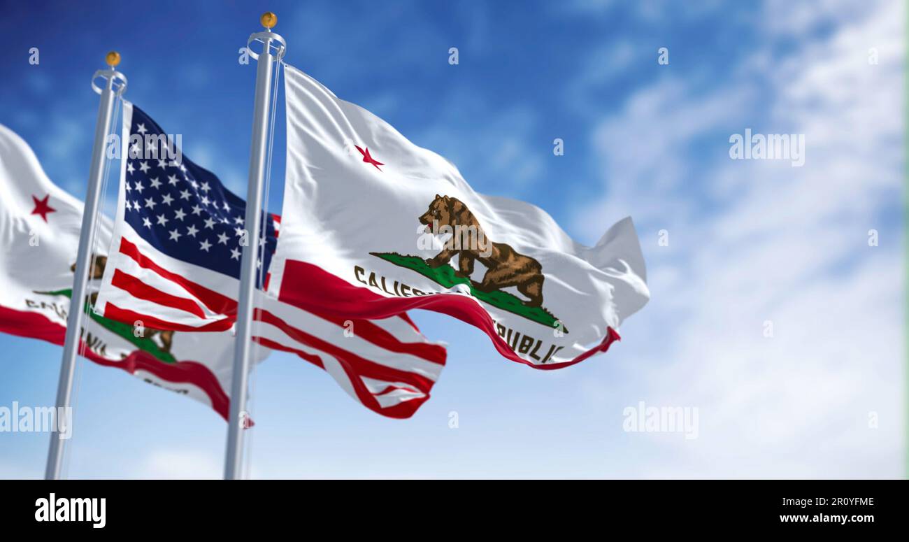 The California Republic state flag waving along with the national flag of the United States of America on a clear day. 3D illustration render. Rippled Stock Photo