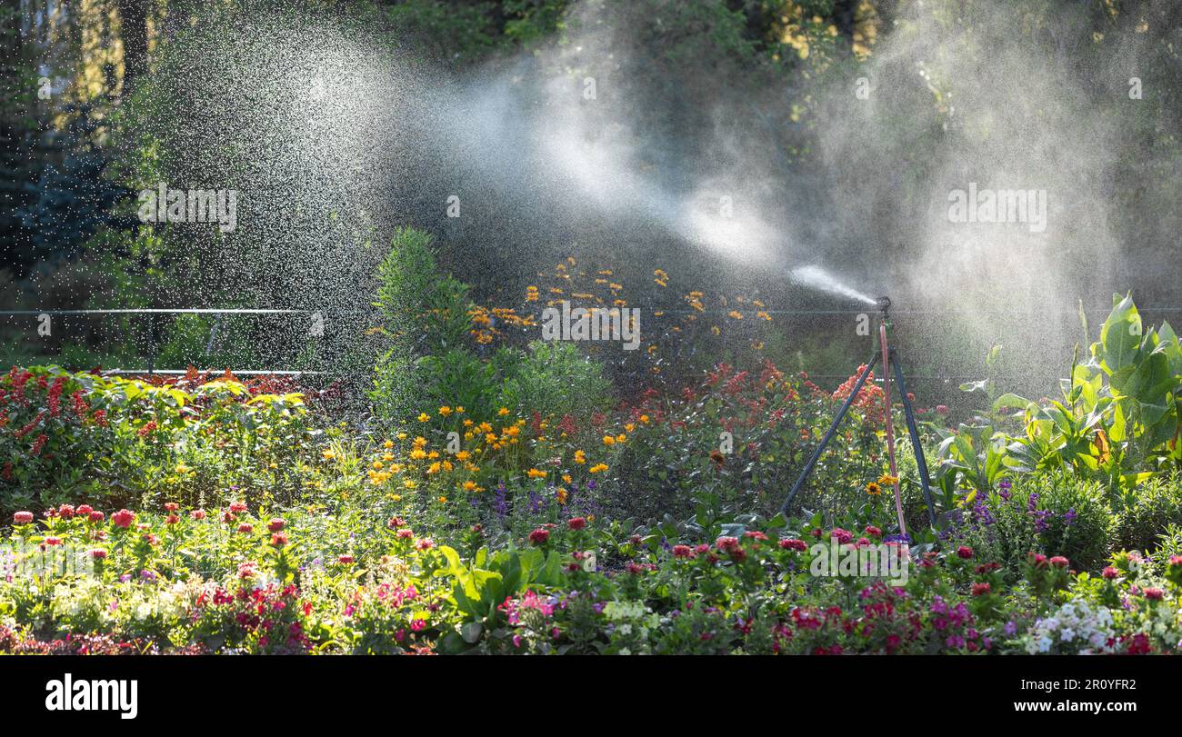 Watering working in morning in summer park. Watering lawn with