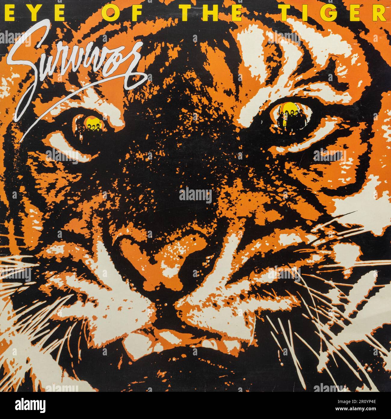 Eye of the Tiger by Survivor, vinyl record album cover Stock Photo