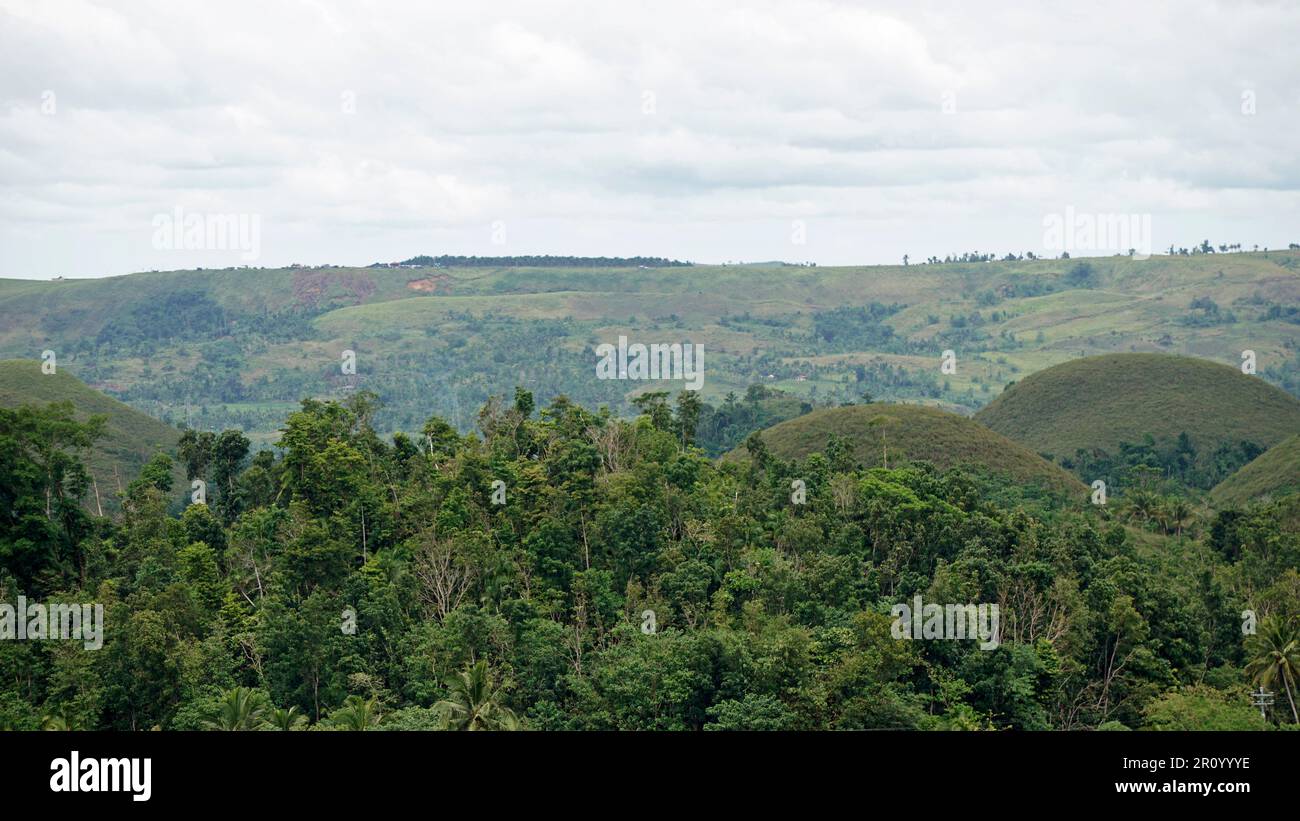 the chocolate hills of bohol on the philippines change their color to