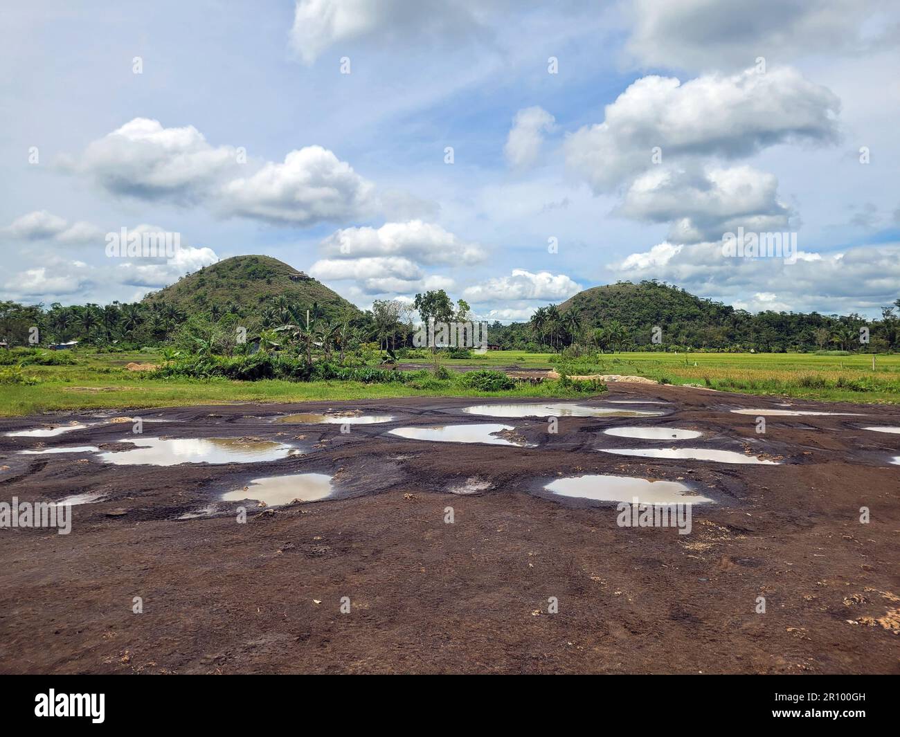 the chocolate hills of bohol on the philippines change their color to