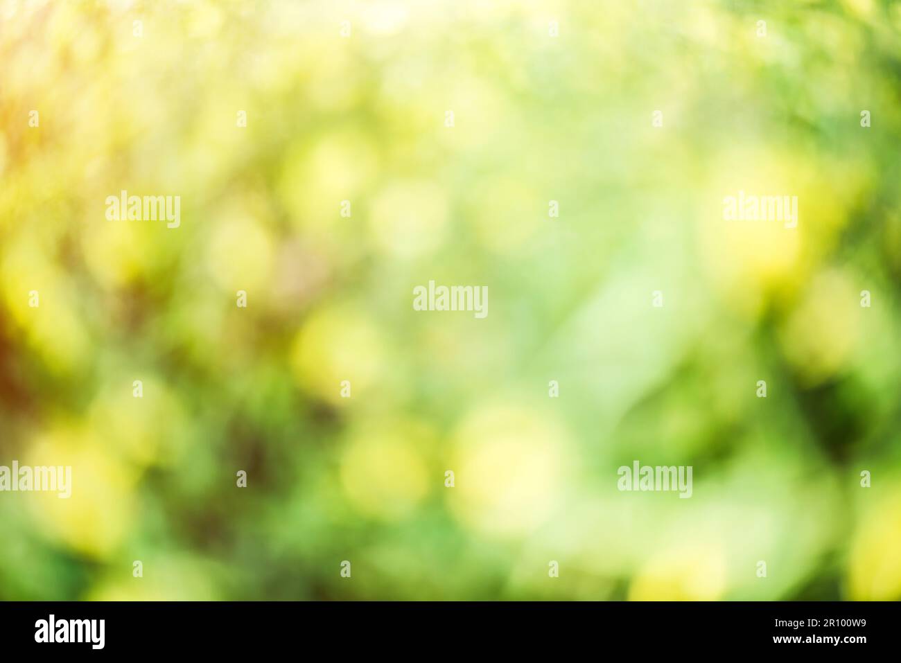 Blur bokeh macro background. Green park landscape Stock Photo - Alamy