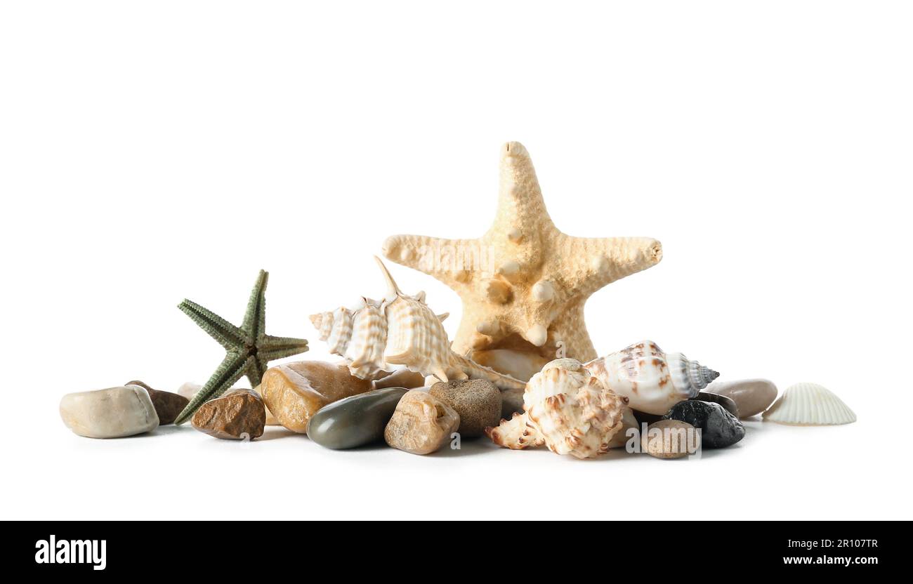 Seashells with starfishes and stones on white background Stock Photo ...