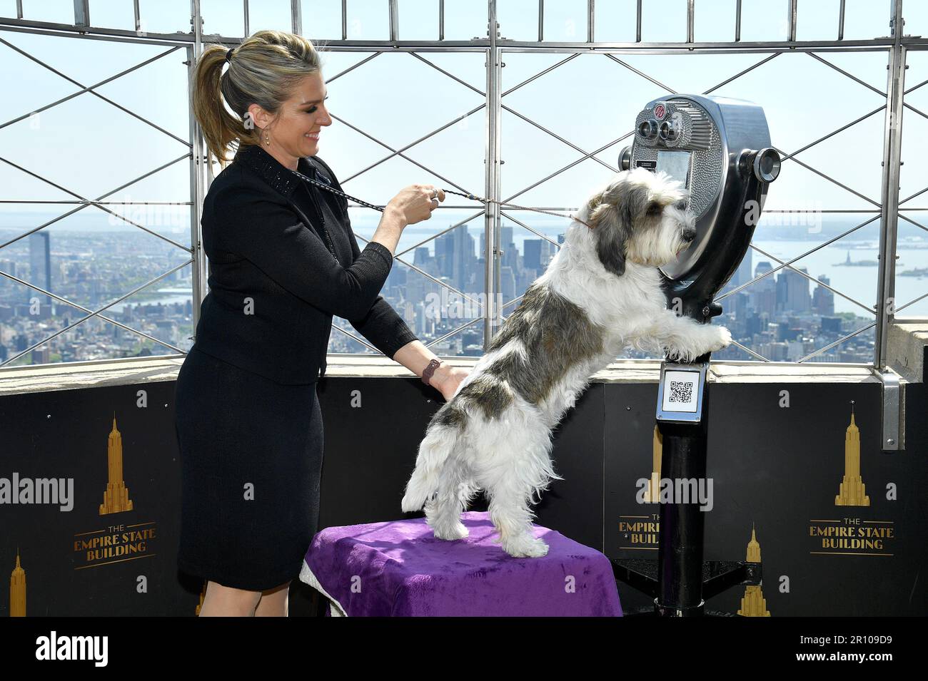 New York, USA. 10th May, 2023. With his handler Janice Hayes, ‘Buddy Holly' the Petit Basset Griffon Vendéen, the 2023 ‘Best In Show' winner at the 147th Westminster Kennel Club Dog Show, visits the Empire State Building, New York, NY, Wednesday, May 10, 2023. (Photo by Anthony Behar/Sipa USA) Credit: Sipa USA/Alamy Live News Stock Photo