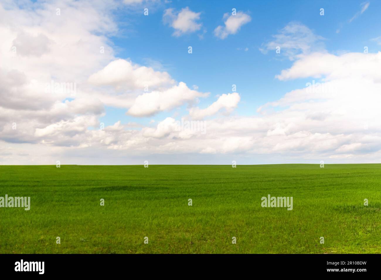 Defocus blue sky background with tiny white clouds and green meadow. Panorama blue sky background with clouds. green field and blue sky with light Stock Photo